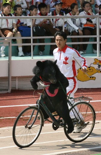 CHINA-WILDLIFE-ANIMALS