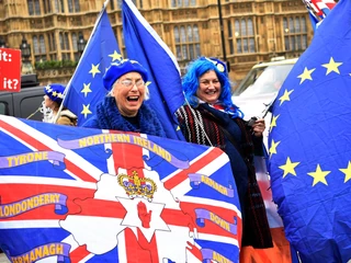 Protest przeciwników brexitu przed brytyjskim parlamentem. Londyn, 15 stycznia 2019 r. 