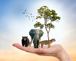 Przyjemny QUIZ przyrodniczy. Masz mniej niż 8/10? Lepiej zrób powtórkę z biologii