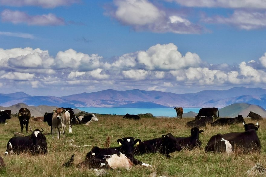 Jezioro Sevan, Armenia