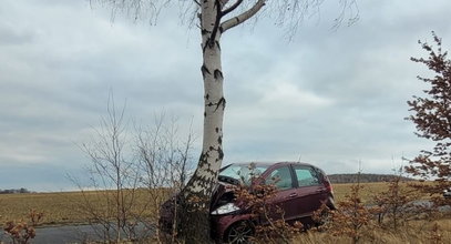 Opłakane skutki nadmiernej szybkości. Mercedes wylądował na drzewie, a dziecko w szpitalu