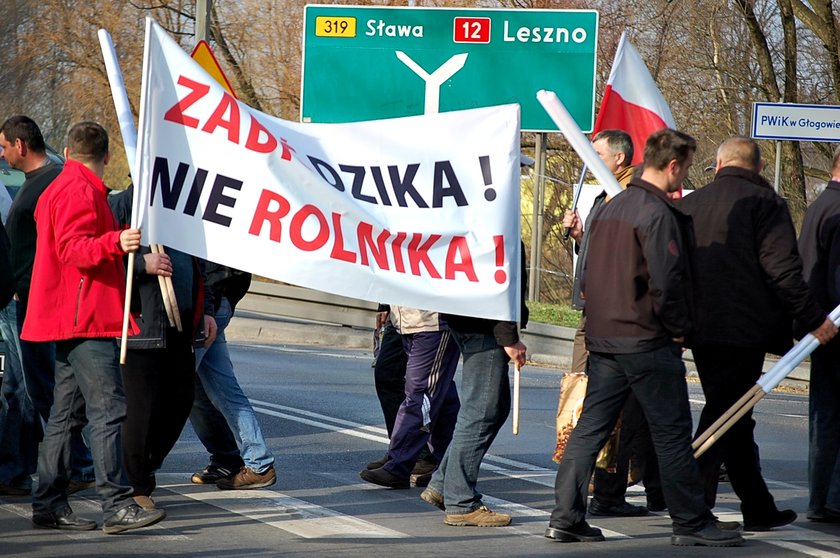 Protest rolników w Głogowie w 2014 roku