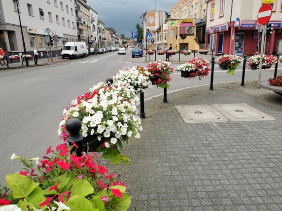 Kompozycje kwiatowej na ulicach Nowej Soli