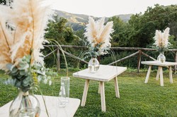 Trawa pampasowa – efektowne inspiracje