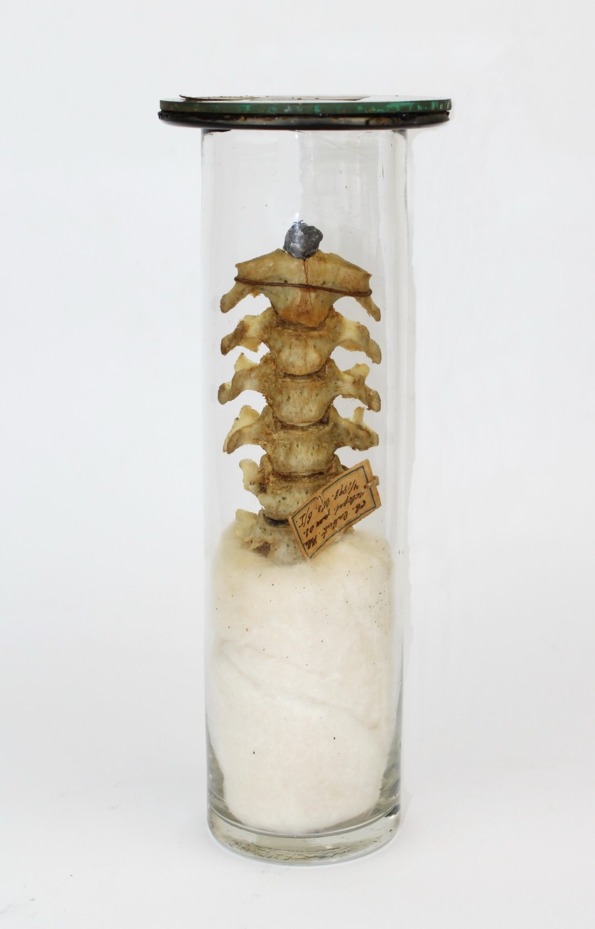 Izložba sudska medicina