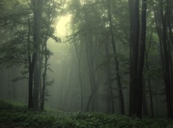 Państwowa firma chce kupić kolejkę na Kasprowy