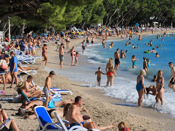 Ako vidite konusnog puža na plaži, ni slučajno ga ne dirajte