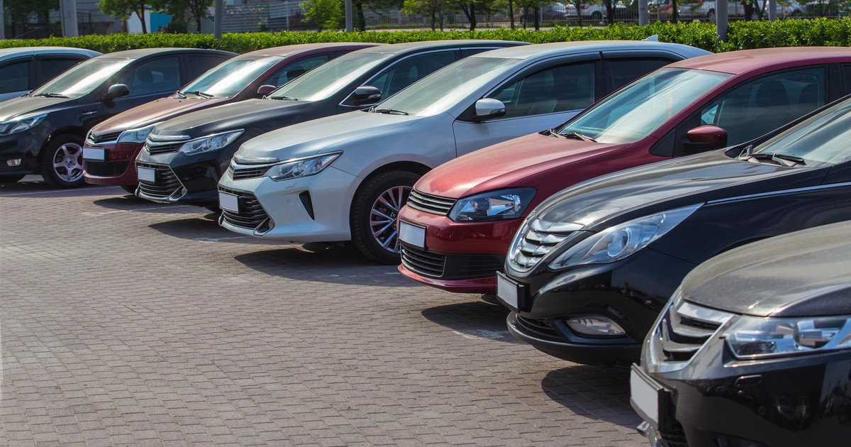 Jak pozbyć się myszy z samochodu? Te sposoby wybierają tylko doświadczeni kierowcy, reszta to mity