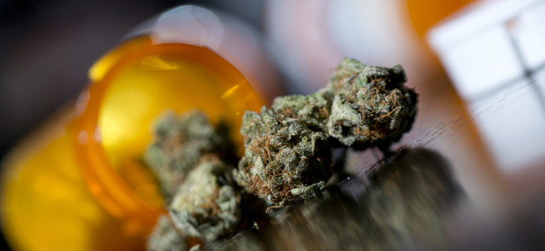 Medyczna marihuana może zniknąć z aptek? Wciąż nie ma zgody na import