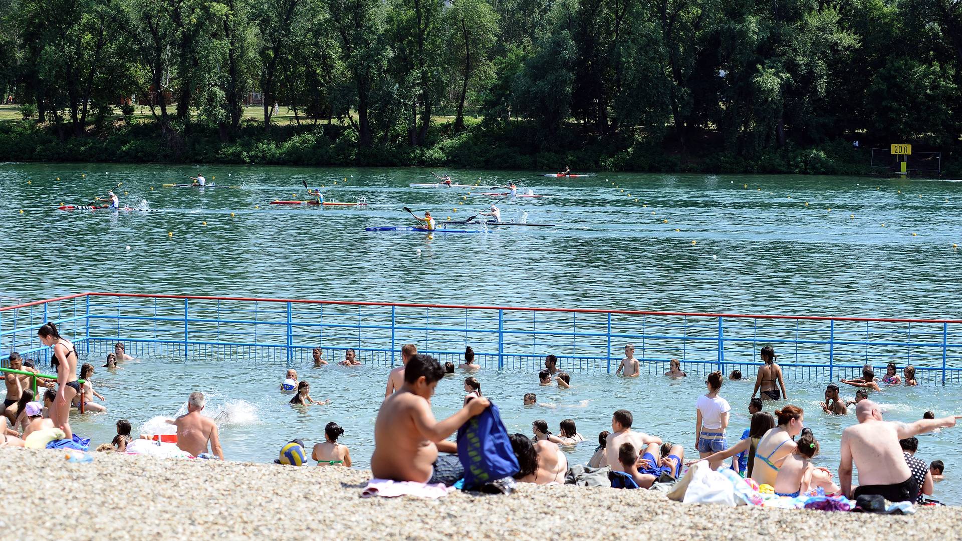 Ada Ciganlija je puna meduza, ali to je dobra vest za sve kupače