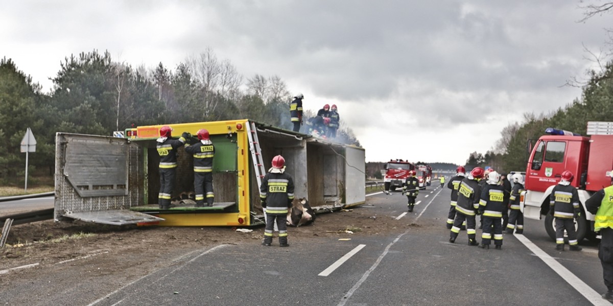 Wypadek tira na S3: z środka dobiegał przerażający ryk  