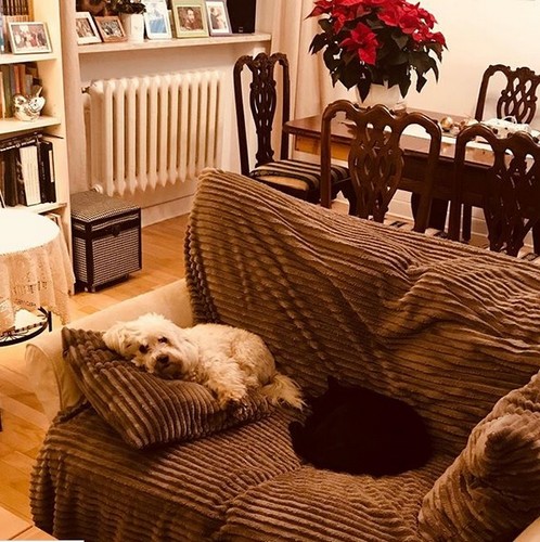 Tak mieszkają Monika i Zbigniew Zamachowscy