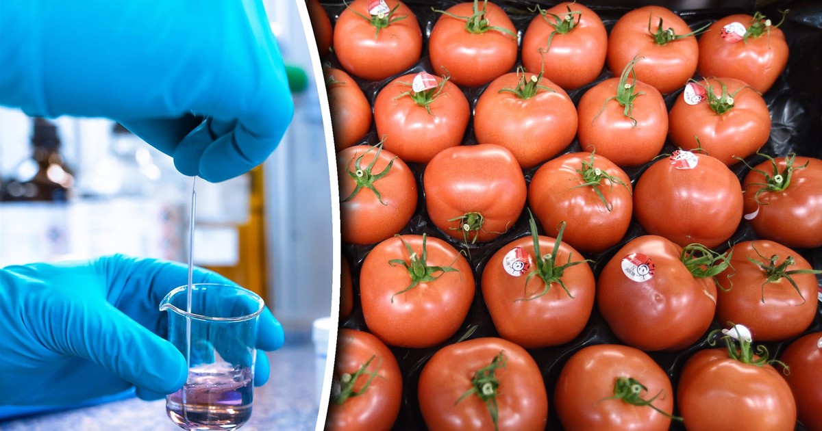 Zbadali pomidory z dyskontów. Tylko połowa była "czysta"