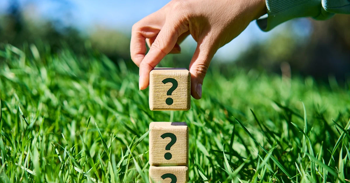 Znasz przysłowia o wiośnie? Dokończ ludowe porzekadła! QUIZ łatwy tylko z pozoru