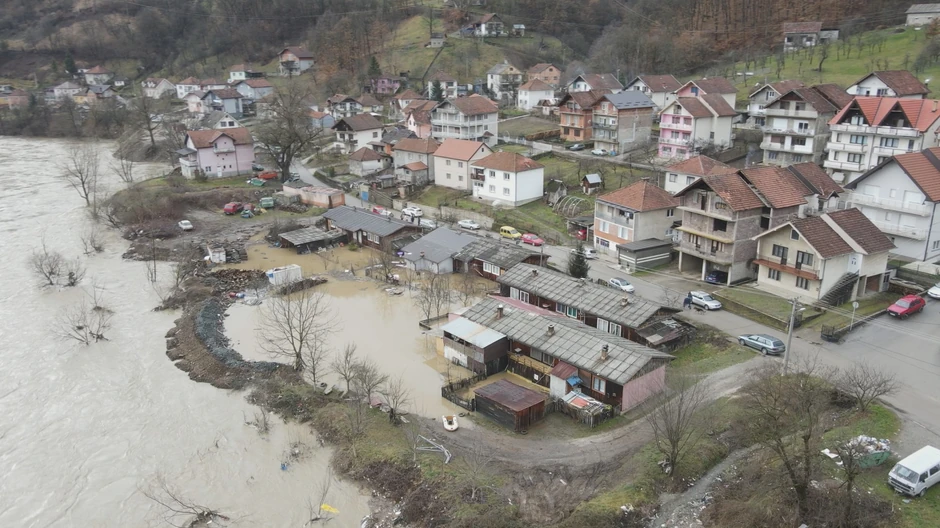 Zmije zimi slute na katastrofu