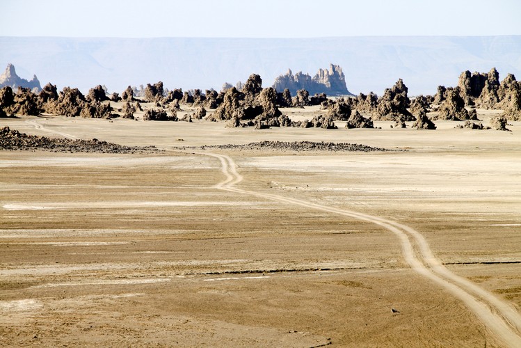 7. Dżibuti. CIA podaje, że stopa bezrobocia w Dżibuti wynosi 59%