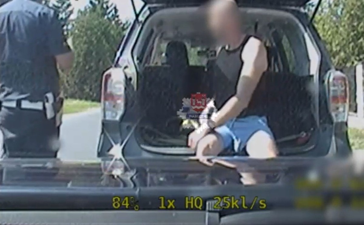Policjanci zatrzymali 39-latkę i sprawdzili bagażnik. Nie mogli uwierzyć własnym oczom