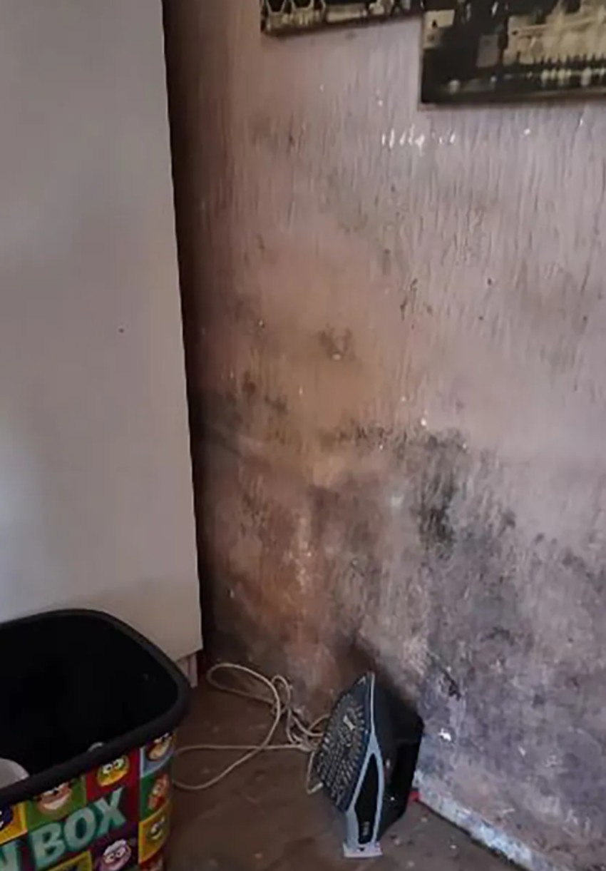 Otežani uslovi u kojim žive Vesna i njena ćerka Srna sa Daunovim sindromom