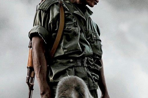 plakat film Virunga