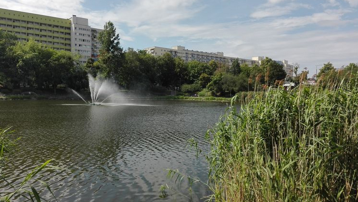 Staw na bydgoskich Bartodziejach może ponownie stać się miejskim kąpieliskiem. Chcą tego miejskie władze, które już zleciły niezbędne badania mikrobiologiczne.