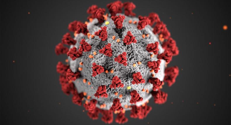 coronavirus covid19 senegal virus