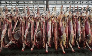 Zakaz uboju rytualnego nie narusza prawa UE