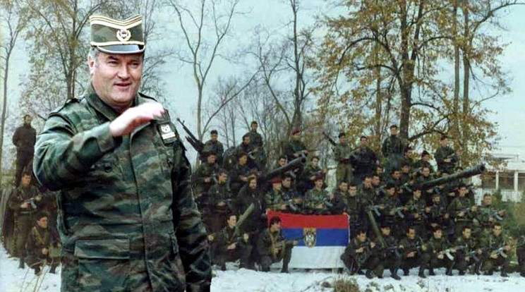 Ratko Mladic, a Balkán mészárosa / Fotó: Northfoto