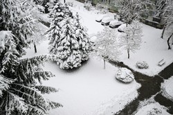 Atak zimy na Podkarpaciu. Ponad 80 tys. gospodarstw bez prądu, ostrzeżenie IMGW