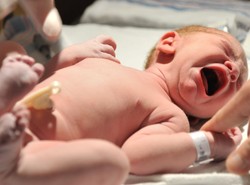 Jak pomaga krew pępowinowa?