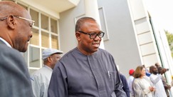 Young professionals buy PDP presidential nomination form for Peter Obi