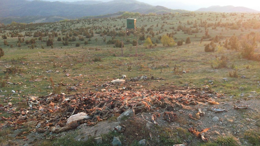 U pozadini osmatračnica u kojoj lovci čekaju vukove