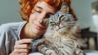 Nem fogja elhinni, mit derítettek ki a tudósok a macskák szeretetéről! Ezt teszi a macska az aggyal című cikk nyitóképe