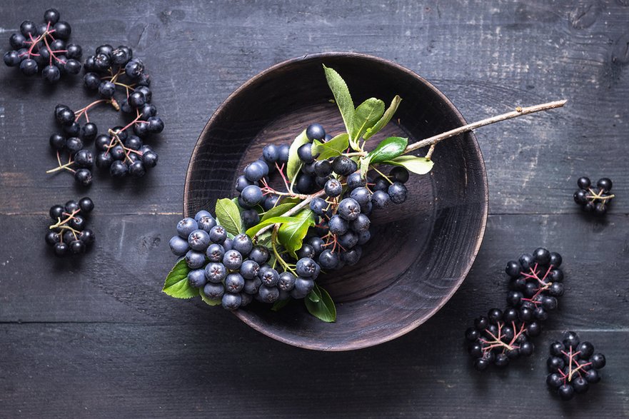 Aronia nazywana jest polskim superfood ze względu na bogactwo składników bioaktywnych