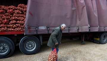 Przyjechali na pole i zabrali rolnikowi 150 ton ziemniaków. Myśleli, że sam dał ogłoszenie w mediach społecznościowych