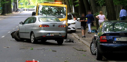 Karny łoś spowodował wypadek? Twierdziła, że jest niewinna