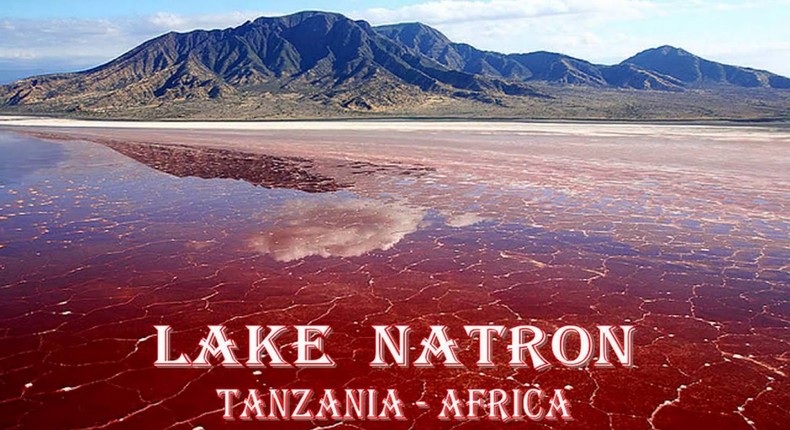 Lake Natron is a beautiful yet deadly place that turns animals to stone (Youtube/Rodica Madan)