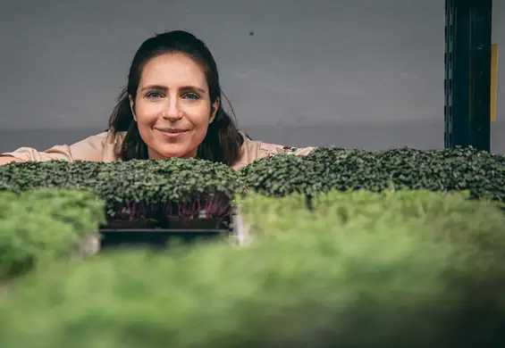 Mikroliście to nowy trend. Dzięki nim rolnictwo miejskie stanie się nową normą