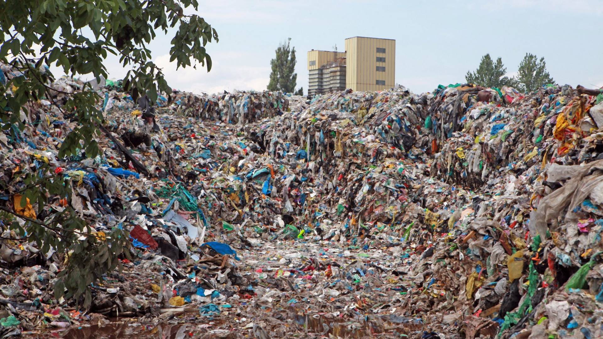 Wielka Brytania i Niemcy traktują nasz kraj jak śmietnik. Polska nie radzi sobie z recyklingiem