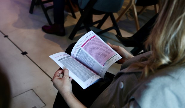 Siva knjiga inovacija