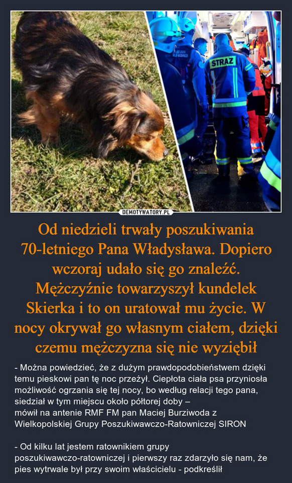 Dzień Kundelka. Oto najlepsze memy