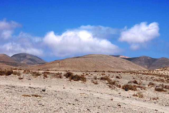 Galeria Wyspy Kanaryjskie - Fuerteventura, obrazek 44