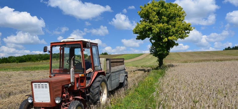 Koszty transformacji na polskiej wsi. "PiS jako pierwszy zauważył problemy finansowe rolników"