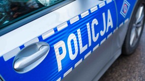 Koszmar psów pod Skierniewicami. Policjanci dokonali porażającego odkrycia