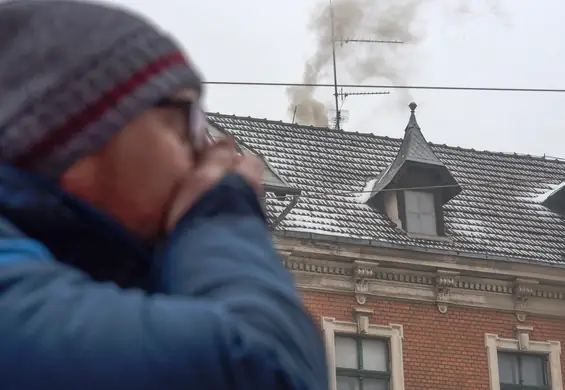 Antidotum na smog. Wystarczy wzbogacić dietę o wartościowy składnik