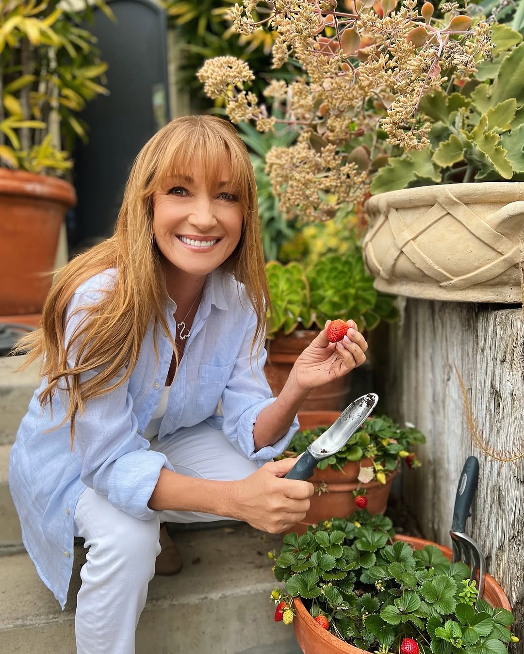 Anglická herečka Jane Seymour.