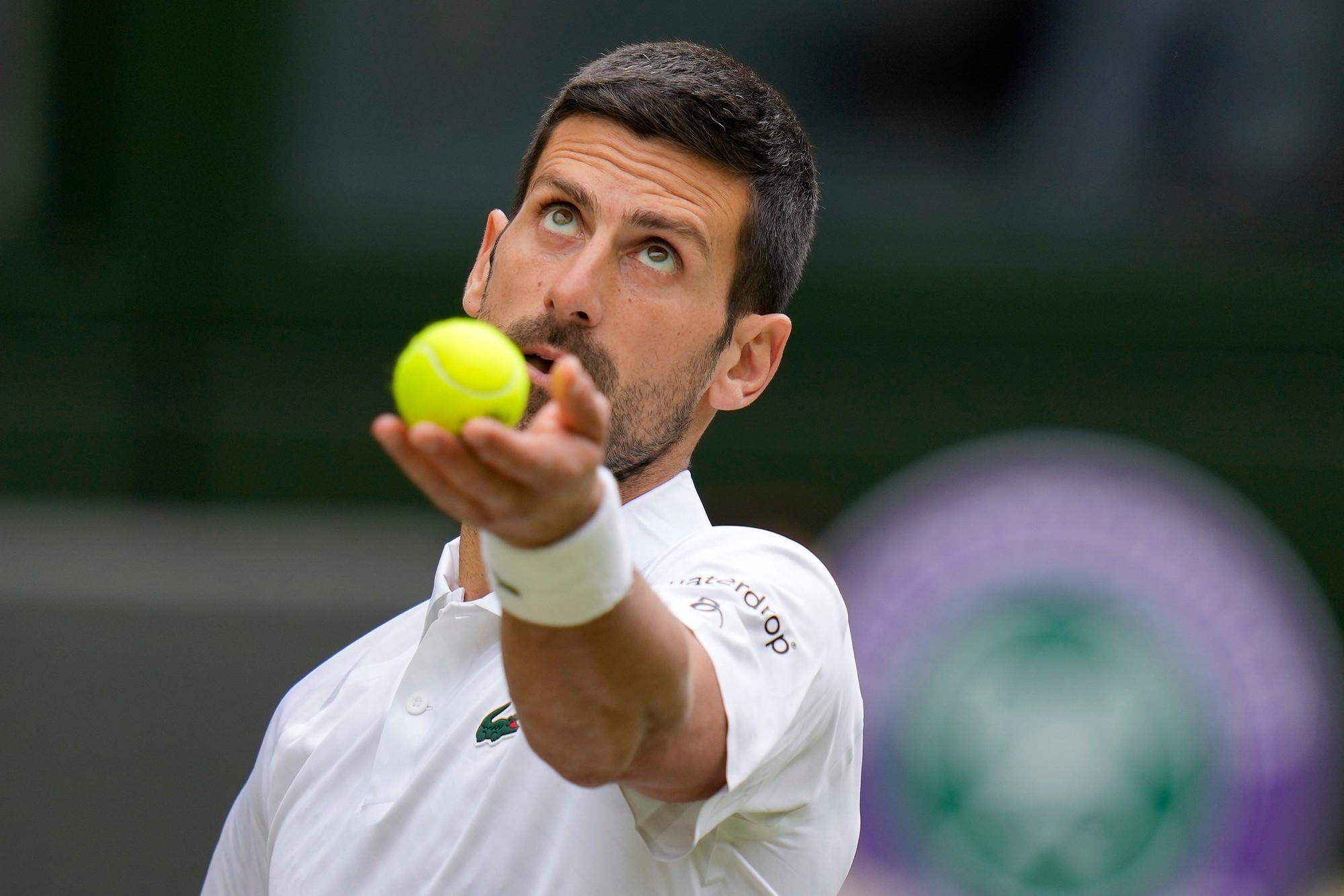 Srbský tenista Novak Djokovič počas finále Wimbledonu 2023.