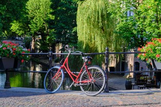 Wsparcie dla najbogatszych. Rząd holenderski nie pomaga osobom ubogim