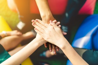 Szpalery cisów i problemy społeczne...