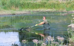 Hydrobiolog: Zaburzenie funkcjonowania ekosystemu Odry potrwa dziesięciolecia