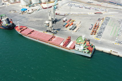 Z ukraińskich portów wypłynęły dwa kolejne statki z produktami rolnymi